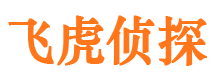 平武捉小三公司